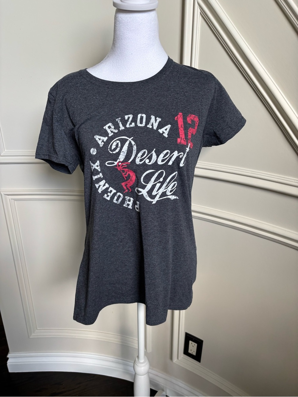 Fruit of the Loom Dark Charcoal Tag Tee with Colorful Logo